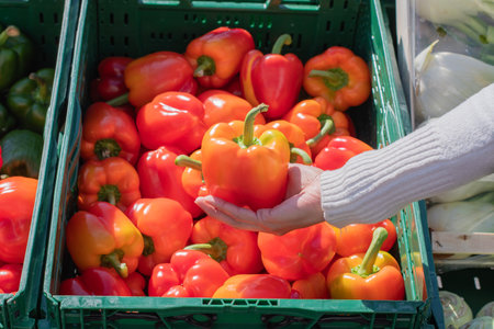 Customer selecting bright orange bell pepper near overflowing wooden crate of colorful peppers in grocery store produce section, choosing fresh vegetables for nutritious cookingの写真素材