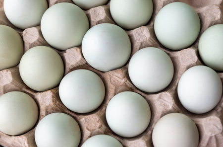 Light blue and greenish araucana chicken eggs neatly arranged in a brown recycled cardboard egg carton, concept fresh, dietary product,の写真素材