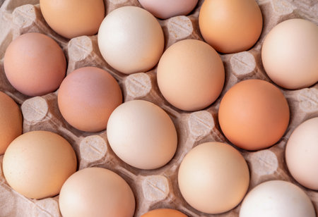 fresh, raw chicken eggs placed in a cardboard box showing their natural brown color variations, dietary product concept,の写真素材