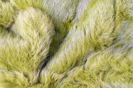 Soft fluffy green texture of green fur, warm and pleasant to the touch surface, ideal for the cold winter period or creating a cozy atmosphere in the interior,の写真素材