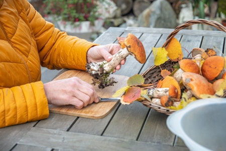 Unrecognizable woman in yellow jacket holds fresh edible boletus mushrooms and prepares to cut them for cooking on wooden cutting board, wicker basket full of mushrooms stands on table nearby,の写真素材