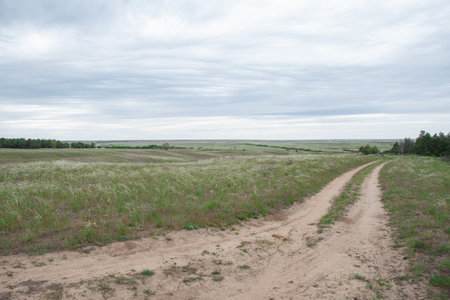 Two winding dirt roads converge and diverge, leading to a picturesque green meadow dotted with trees and shrubs under a cloudy sky, creating a serene and attractive natural landscape sceneの写真素材