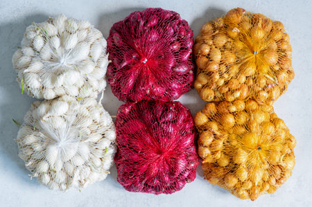 Three varieties of onion sets, yellow, white and purple, in mesh bags on a table, showing the variety of varieties ideal for spring planting and home gardening,の写真素材