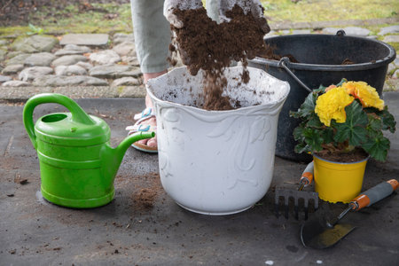 Gardener sorts nutritious soil for flowering plants from debris, saturates it with air before replanting yellow begonia standing nearby, watering can and garden tools are scattered around.の写真素材