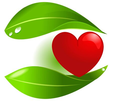 Vegetal food protecting heartのイラスト素材