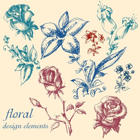 Floral design elements collection のイラスト素材