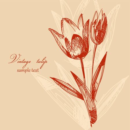 Vintage tulip background のイラスト素材