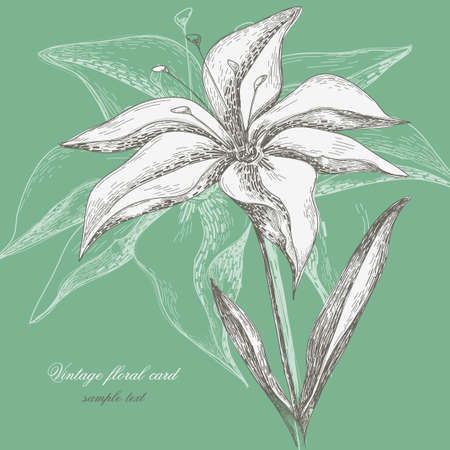 Vintage floral cardのイラスト素材