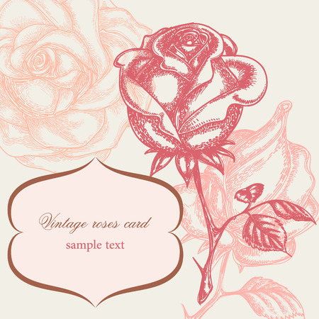 Vintage rose floral card (not auto-traced)のイラスト素材