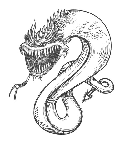 A fierce dragon pencil drawing のイラスト素材