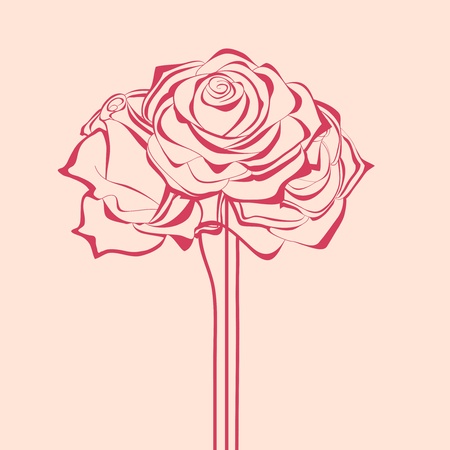 Bunch of roses illustration のイラスト素材
