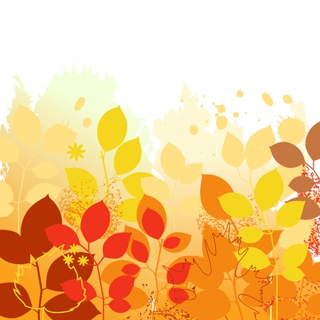 Colorful autumn background のイラスト素材
