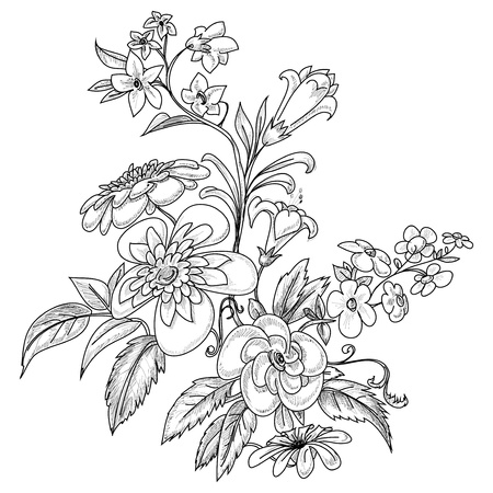 Graphic ornate flowers のイラスト素材