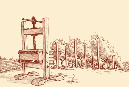Vineyard and old wooden press vector illustration のイラスト素材