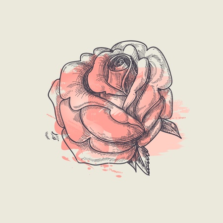 Artistic rose vector illustrationのイラスト素材