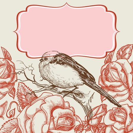 Bird and roses invitation template with frame for textのイラスト素材