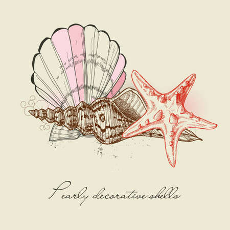 Shells and starfish backgroundのイラスト素材