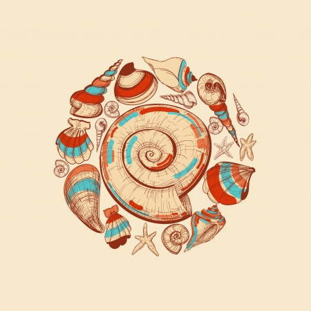 Shells vector round decoration のイラスト素材