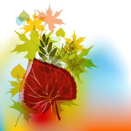 Autumn background in bright colorsのイラスト素材