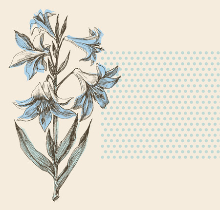 Blooming lily flower greeting card or wedding invitation design elementのイラスト素材