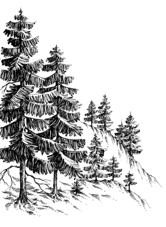 Pine forest, winter mountain landscape drawingのイラスト素材