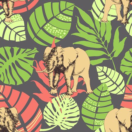 Nature pattern, exotic jungle leaves and elephantのイラスト素材