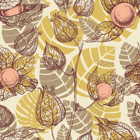 Fruits pattern, physalis backgroundのイラスト素材