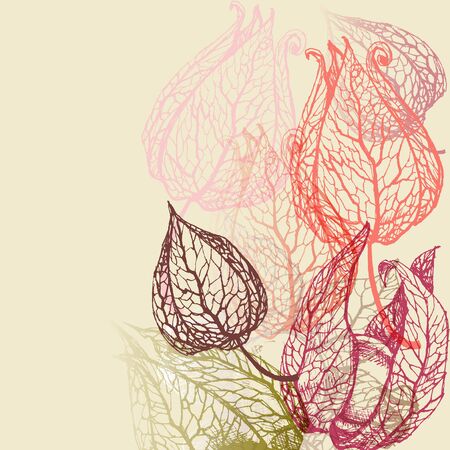 Floral background, herbal setのイラスト素材