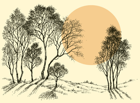 Sunset in the forest. Trees wallpaper. Landscape sketchのイラスト素材