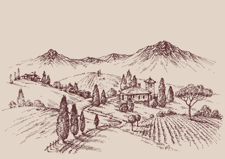 Vineyard sketch. Wine label design. Rural landscape drawingのイラスト素材