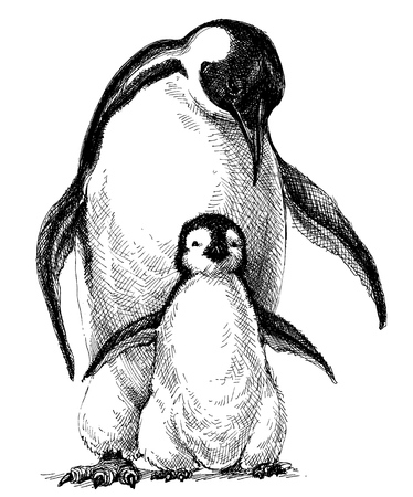 Penguins family. Cute baby penguin and parent drawing isolatedのイラスト素材