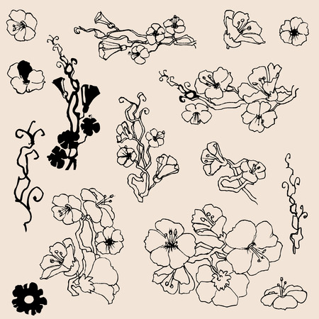 Flowers outlines. A set of small floral twigs drawing elementsのイラスト素材