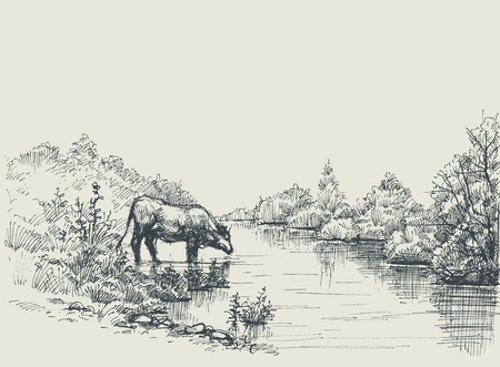 Cow drinking water at the river shore. Graphic landscape, artistic backgroundのイラスト素材