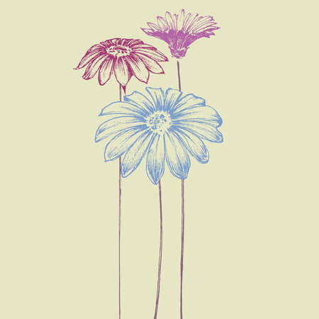 Hand drawn flowers. Beautiful daisy design for festive eventsのイラスト素材
