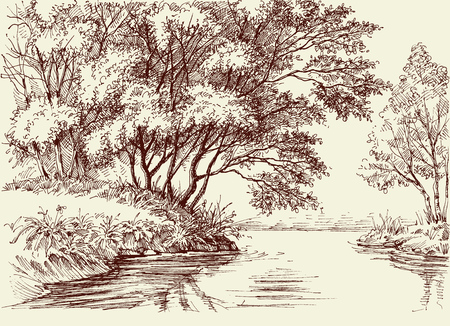 River flow in the woodsのイラスト素材