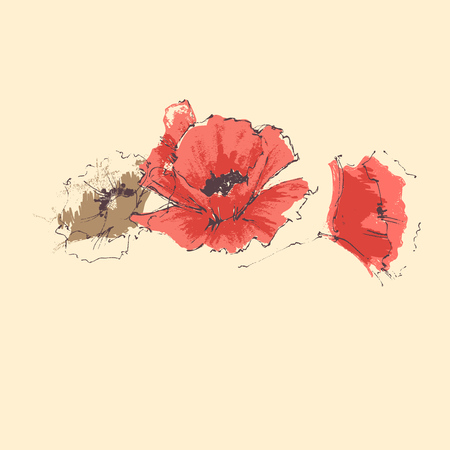 Red poppy anniversary cardのイラスト素材