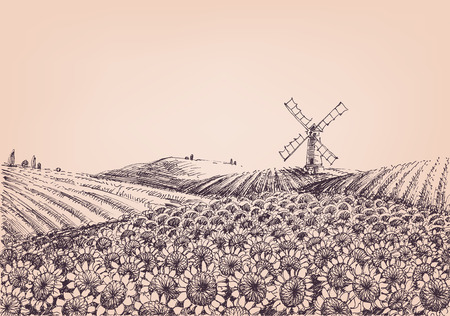 Sunflower hills, artistic landscape, windmill in the background. Vector illustration.のイラスト素材