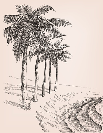 Palm trees on the beach drawingのイラスト素材
