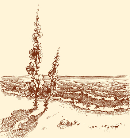 Beach and sea hand drawing, plants and flowers on the beachのイラスト素材