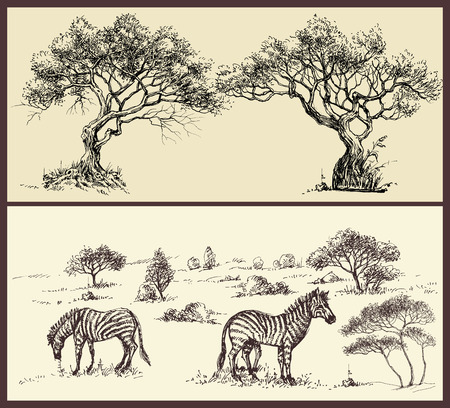 Nature banners set. Trees arch and savanna landscape with zebraのイラスト素材