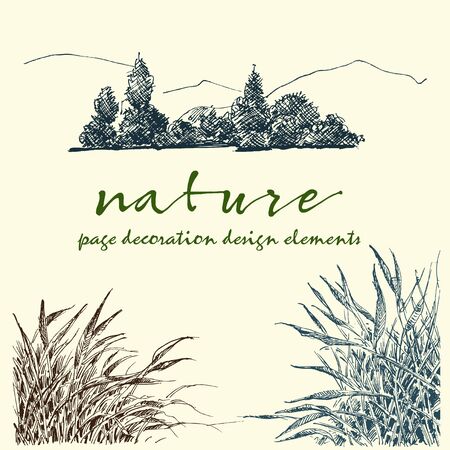 Nature design elements set. Plants and flowers corner decorations, trees linear sketchのイラスト素材