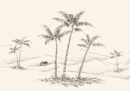 Oasis in the desert hand drawing, palm trees, fountain water and a camel in the backgroundのイラスト素材