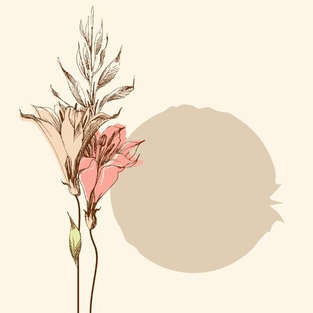 Lily flowers background with space for textのイラスト素材