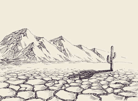 Desert landscape, arid environment and a cactus in the backgroundのイラスト素材