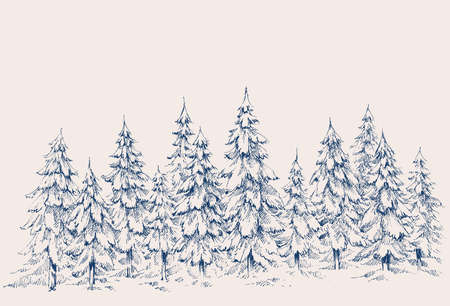 Pine forest hand drawn border. Winter landscapeのイラスト素材