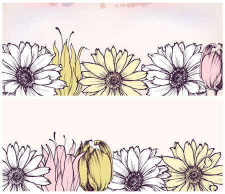Summer flowers banner set. Daisy and tulips foliage backgroundsのイラスト素材