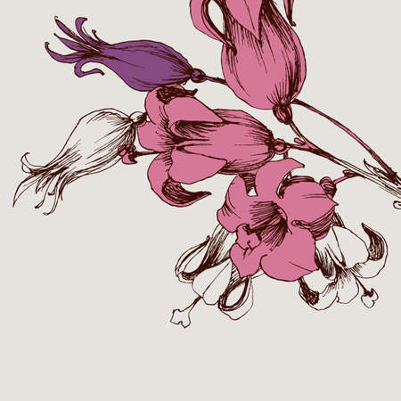 Floral background, pink flowers bouquet hand drawn lilyのイラスト素材