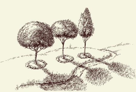Park alley hand drawing, trees and a footpath landscapeのイラスト素材