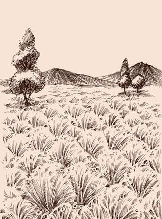 Tall grass meadow hand drawing, vaste wilderness landsのイラスト素材