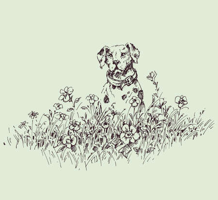 Cute puppy dog sitting in the grass and flowers meadowのイラスト素材